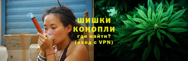 стаф Вязники
