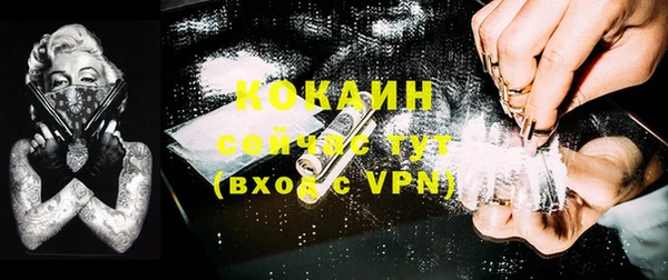 твердый Верея