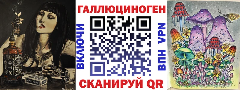 Галлюциногенные грибы Psilocybine cubensis Звенигород